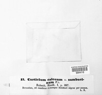 Exidiopsis calcea image